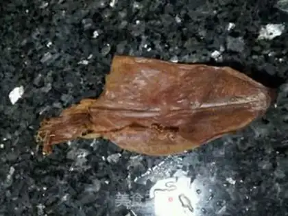 Make Squidfish step 0