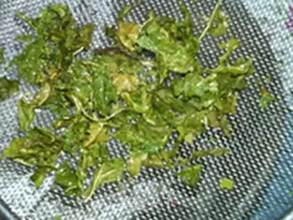 Make Green San lily step 2