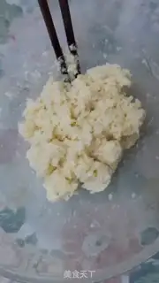 Make Protein coconut ball step 4