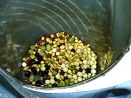 Make Soybean step 2