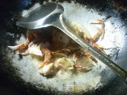 Make Crabs start to bloom at night step 7