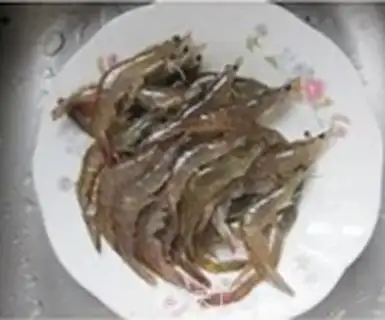 Make Improved shrimp step 0