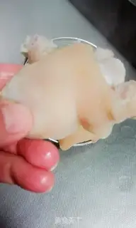Make Soybean pig hoof step 3