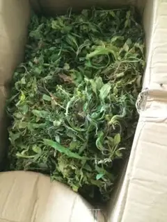 Make The dumplings step 0