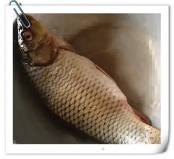 Make Sour carp step 0
