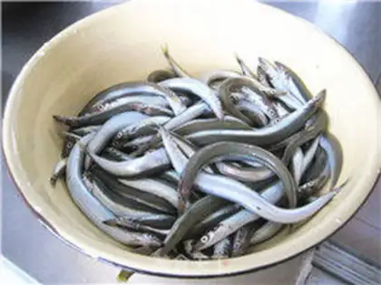 Make ♪ So many spring fish ♪ step 0