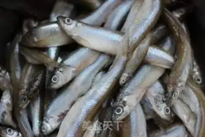 Make Homemade firefish step 1