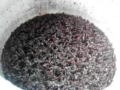 Make Black rice mango sugar step 2