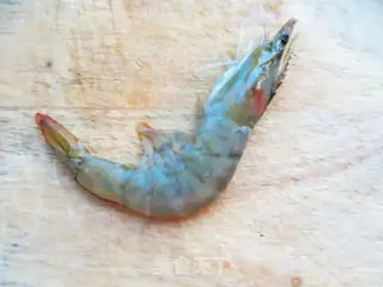 Make Shrimp step 0
