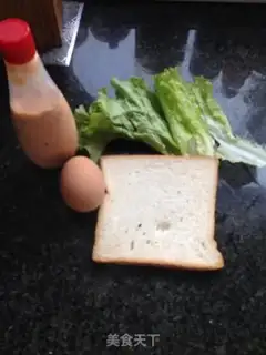 Make Homemade sandwiches step 0