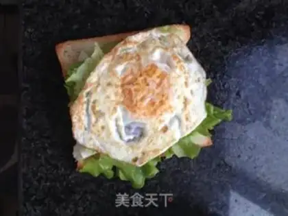 Make Homemade sandwiches step 5