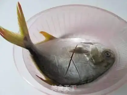 Make Vacuated goldfish step 0