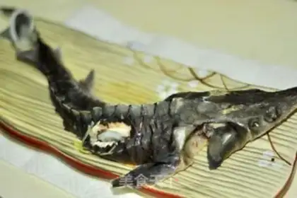 Make Fresh sturgeon step 2