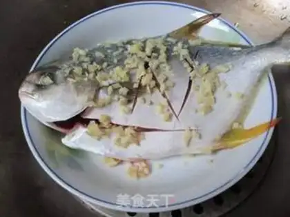 Make Vacuated goldfish step 4