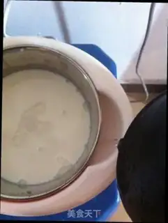 Make Homemade yogurt step 5