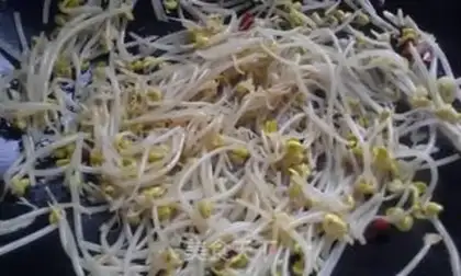 Make Taste beans step 4