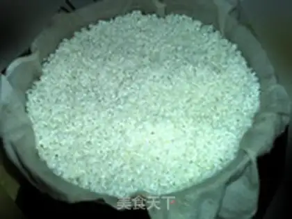 Make Self-made rice wine step 2