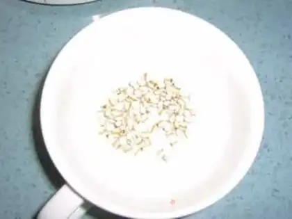 Make Silver rice step 1