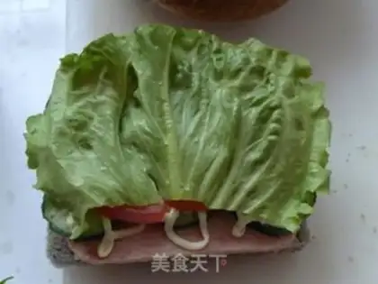 Make Vegetable meat sandwich step 9