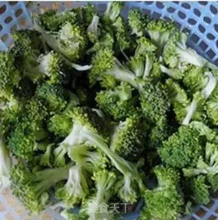 Make The broccoli willow step 0
