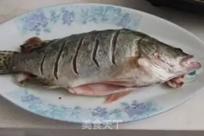 Make Steamfish saliva step 3