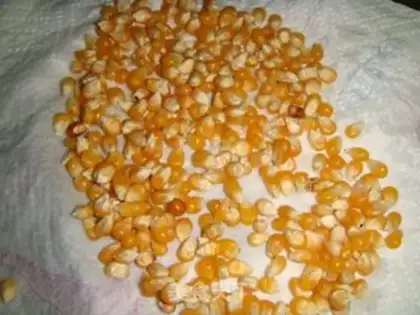 Make Homemade popcorn step 1