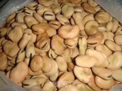Make Orchid beans step 0