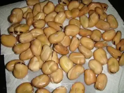 Make Orchid beans step 4