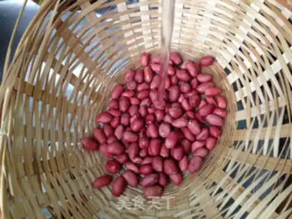 Make Old vinegar peanuts step 0