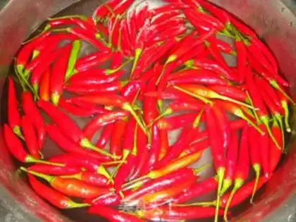 Make Homemade peppers step 1