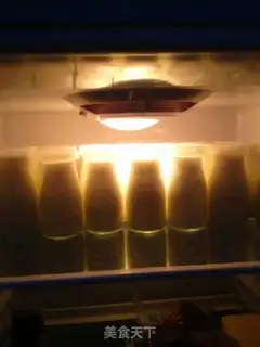 Make The oven makes yogurt step 6