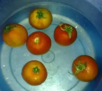 Make Fried tomatoes step 0