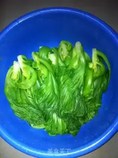 Make Pickles step 2