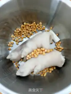 Make Bean hog hoof step 6