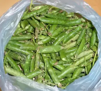 Make Blue bean pig belly soup step 0