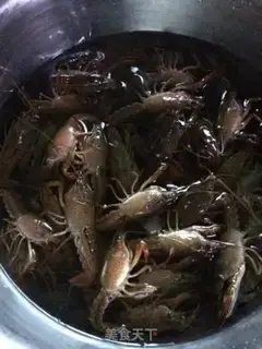 Make Lobster step 0