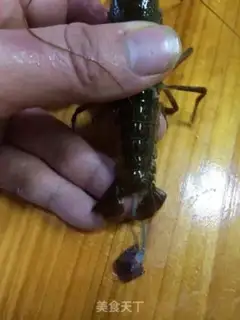 Make Lobster step 1