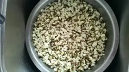 Make Wheat rice step 0