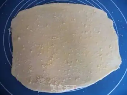 Make Salted lasagna step 15