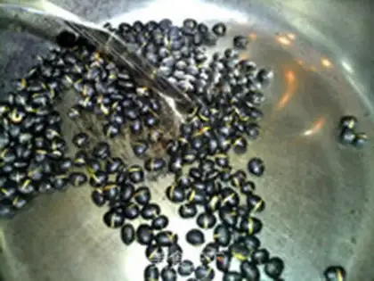 Make Black bean cactus step 6