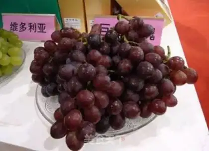 Make Pomegranate grape juice step 5