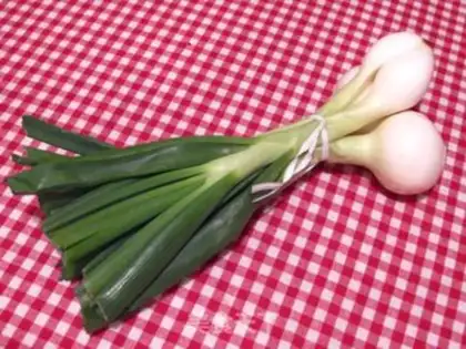 Make Fork on Joe
