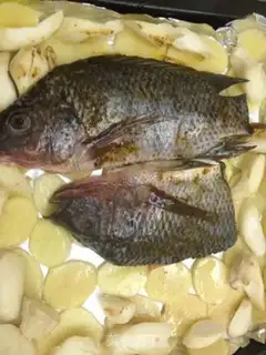 Make Homemade fish step 3