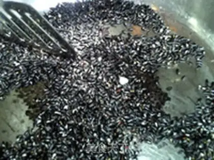 Make Three black sesame paste step 4
