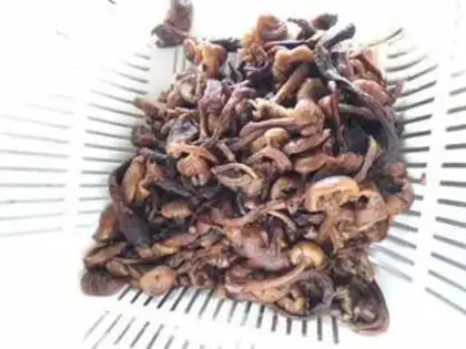 Make Chicken stew mushrooms step 2