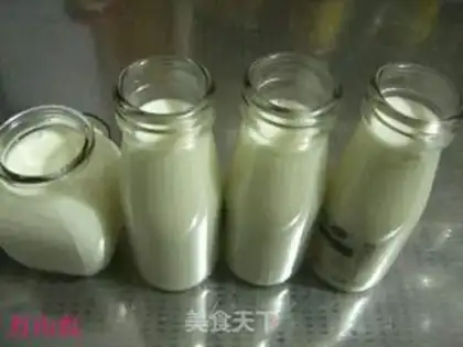 Make Yogurt step 4