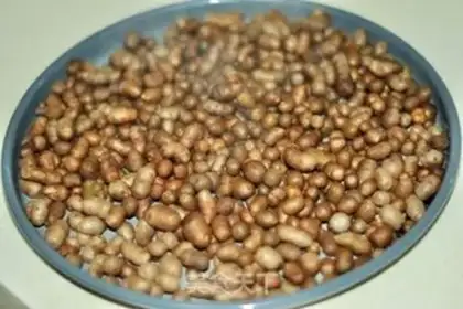 Make Precious saline beans step 1