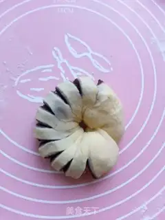 Make Plumbnut step 4