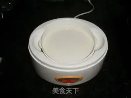 Make Homemade mango yogurt step 4