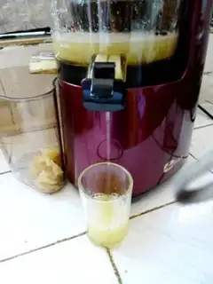 Make Apple melon juice step 5